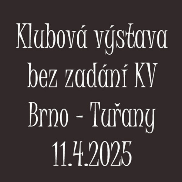 11.4.2025 Klubová výstava bez zadání KV Brno - Tuřany