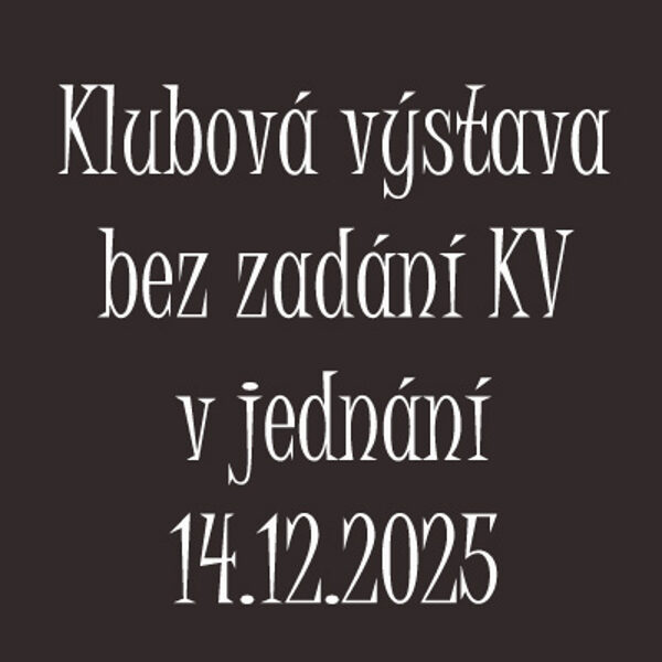 14.12.2025 Klubová výstava bez zadání KV