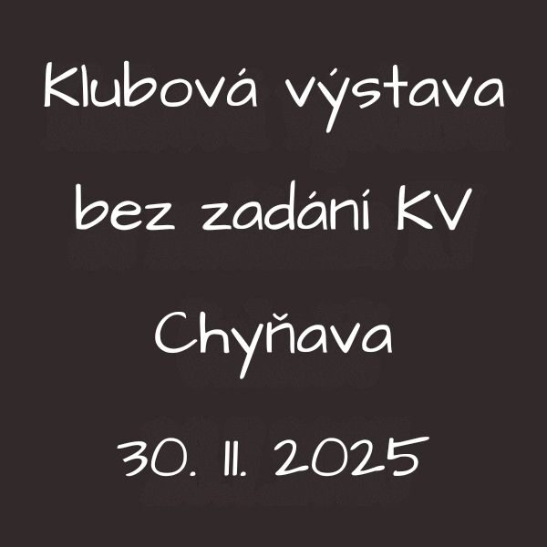 14.12.2025 Klubová výstava bez zadání KV