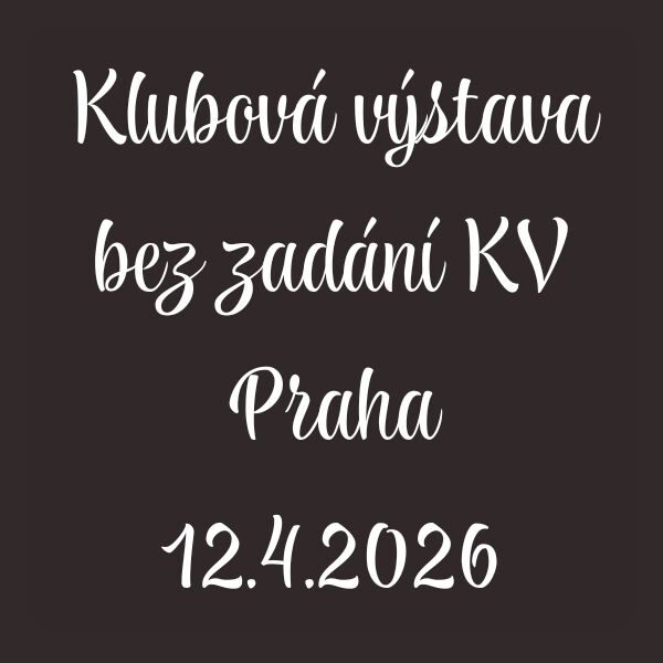 Klubová výstava bez zadání KV Praha 12.4.2026