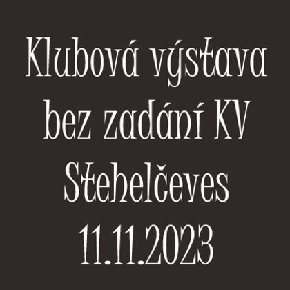 11.11.2023 Stehelčeves