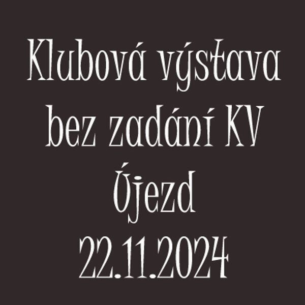 Klubová výstava bez zadání KV 22.11.2024