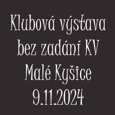 Klubová výstava bez zadání KV 22.11.2024